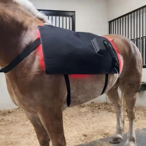 Light Therapy Rug Horse Back Blanket Pain Relief Health Care Red Light Light Therapy Horse Device
Light Therapy Rug Horse Back Blanket Pain Relief Health Care Red Light Light Therapy Horse Device