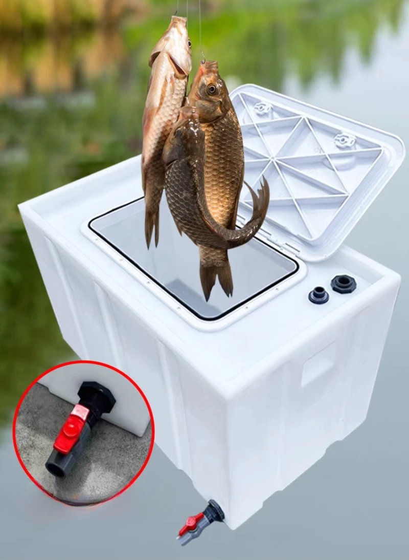 PE Plastic Outdoor Fishing Car Anti-overflow Sealed Live Fish Box Transportation Water Tank
PE Plastic Outdoor Fishing Car Anti-overflow Sealed Live Fish Box Transportation Water Tank