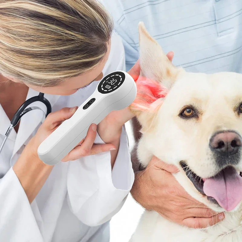 2023 New Innovations Non-Pharmacological Back Pain Relief Cervical Spondylosis Therapy Device For Veterinary Clinic
2023 New Innovations Non-Pharmacological Back Pain Relief Cervical Spondylosis Therapy Device For Veterinary Clinic
