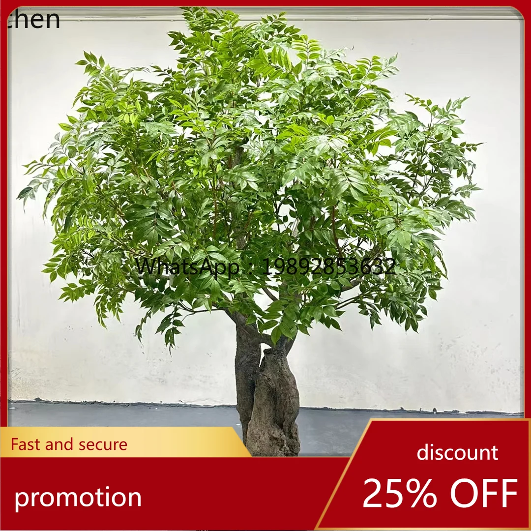 YFY Artificial Drunken Horse Wood Hanging Bell Tree Custom Hotel Restaurant Window Decoration Fake Tree Green Plant Landscape
YFY Artificial Drunken Horse Wood Hanging Bell Tree Custom Hotel Restaurant Window Decoration Fake Tree Green Plant Landscape