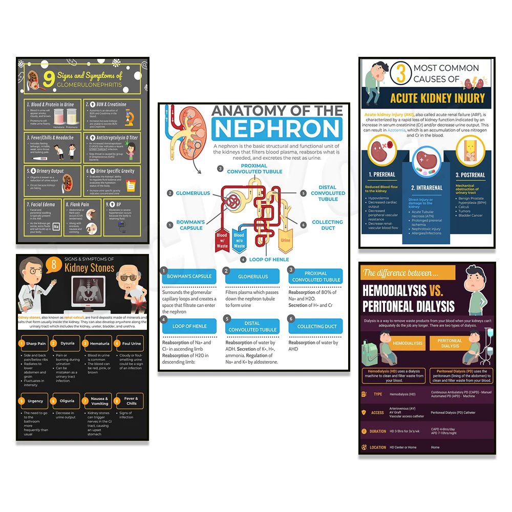Nephron Anatomy, Hemodialysis vs Peritoneal Dialysis Printable, Causes of Acute Kidney Injury, Medical Nephrologist Presents
Nephron Anatomy, Hemodialysis vs Peritoneal Dialysis Printable, Causes of Acute Kidney Injury, Medical Nephrologist Presents