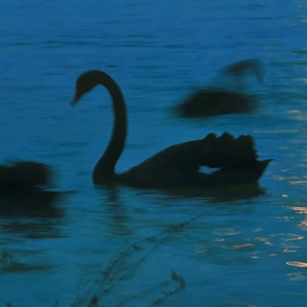 Ems Portable Body Sculpting Machine Myo Profession Slimming Electromagnetic Stimulation Build Muscle Burning Weight
Ems Portable Body Sculpting Machine Myo Profession Slimming Electromagnetic Stimulation Build Muscle Burning Weight