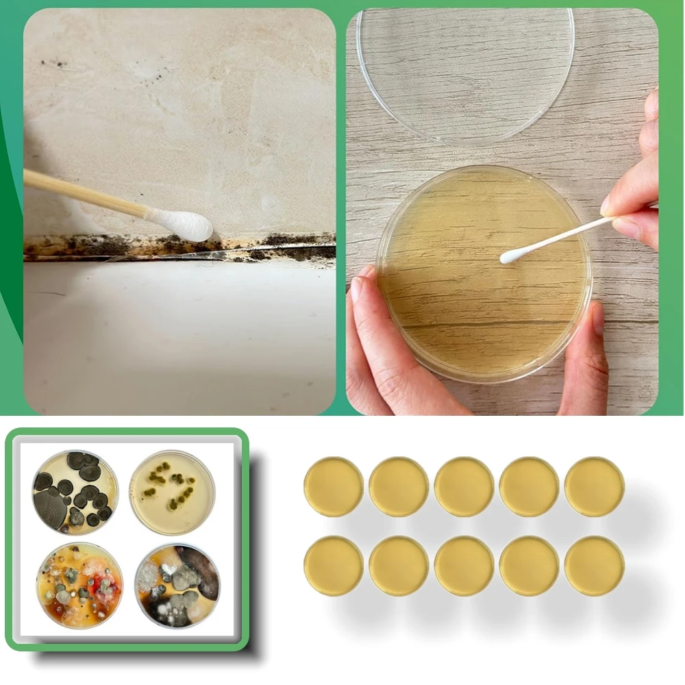 10 шт. для набора для тестирования пресс-форм, бытовой DIY, подходит для проверки пресс-форм, системы HVAC, детектор 9 см, для тестирования, измерения, осмотра
10 шт. для набора для тестирования пресс-форм, бытовой DIY, подходит для проверки пресс-форм, системы HVAC, детектор 9 см, для тестирования, измерения, осмотра