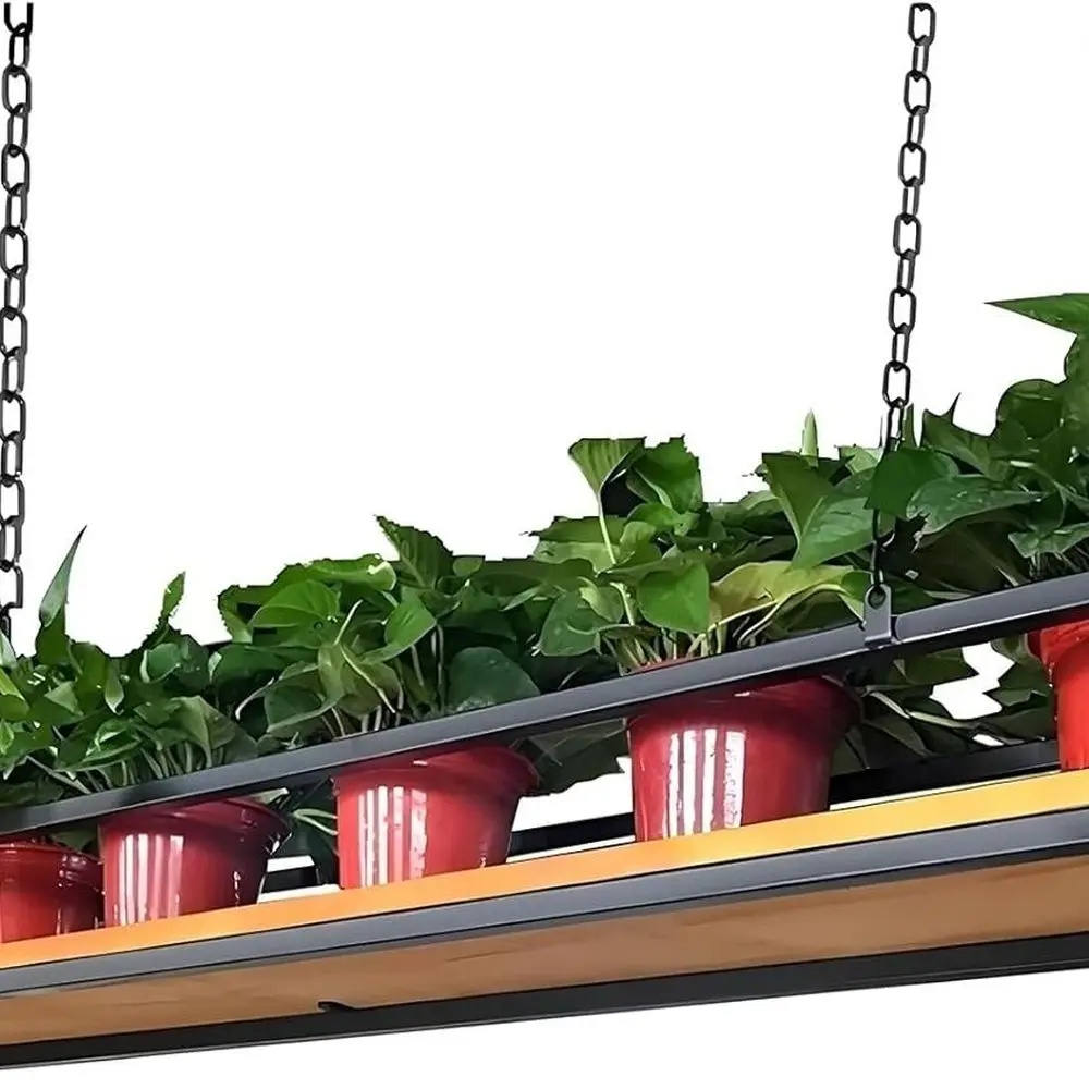 Window Hanging Planter Shelf - Display and Store Plants, Photos, and Ornaments for Balcony and Apartments, Flower Stand Holder (
Window Hanging Planter Shelf - Display and Store Plants, Photos, and Ornaments for Balcony and Apartments, Flower Stand Holder (