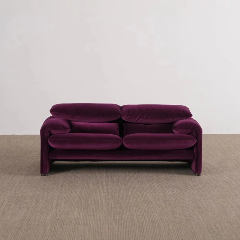 Modern classic velvet fabric double sofa, comfortable and lazy design, with foldable armrests, suitable for home or hotel living
Modern classic velvet fabric double sofa, comfortable and lazy design, with foldable armrests, suitable for home or hotel living