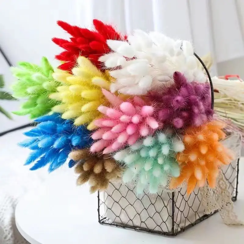 100pcs Bunny Tails Dried Fluffy Flower Pampas Grass Boho Home Wedding Decoration Small Dried Fowers for Craft Dry Flowers
100pcs Bunny Tails Dried Fluffy Flower Pampas Grass Boho Home Wedding Decoration Small Dried Fowers for Craft Dry Flowers