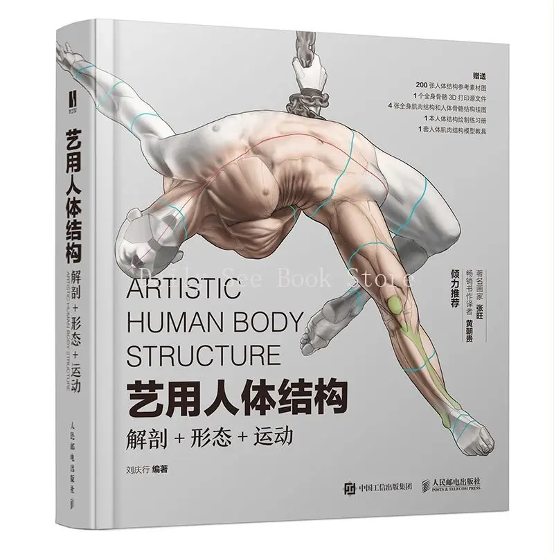 Art Human Structure, Anatomical Form Movement, Muscle Material Reference
Art Human Structure, Anatomical Form Movement, Muscle Material Reference