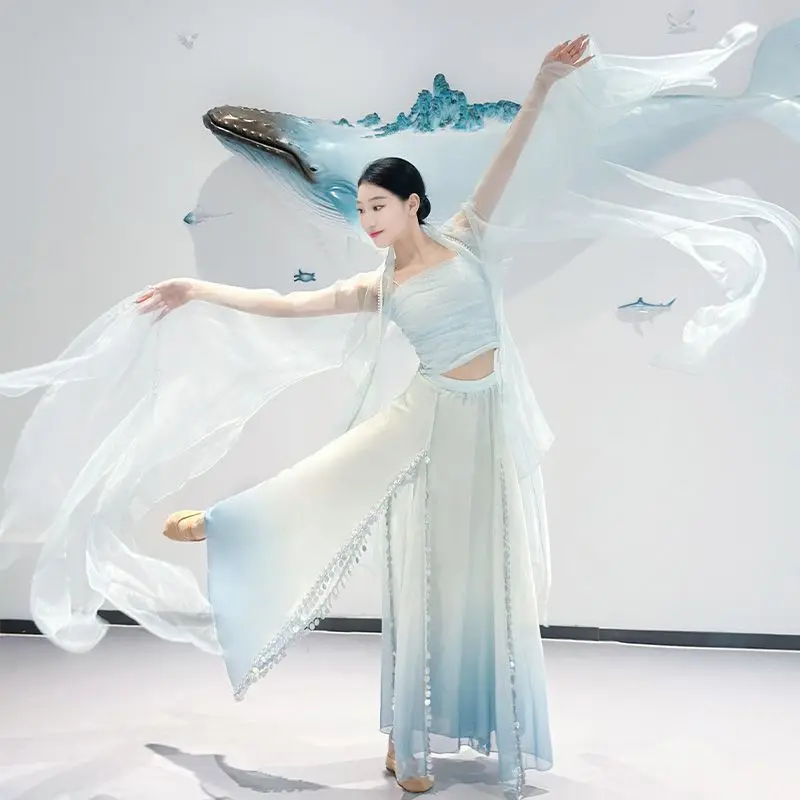 Ethereal Chinese Dance Costume | Sequin Mermaid Skirt & Sheer Top Set for Stage Performance 2026
Ethereal Chinese Dance Costume | Sequin Mermaid Skirt & Sheer Top Set for Stage Performance 2026