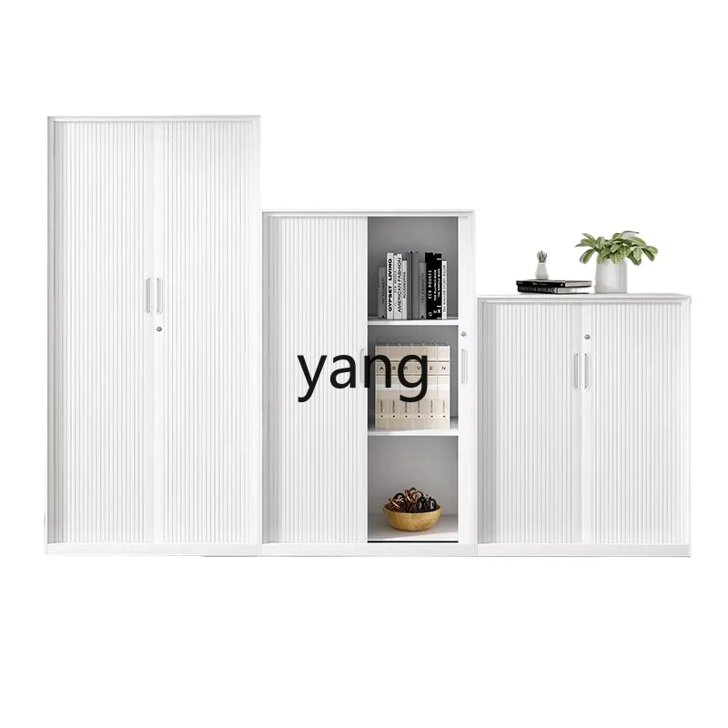TGF sliding door cabinet office tin cabinet steel partition storage cabinet
TGF sliding door cabinet office tin cabinet steel partition storage cabinet