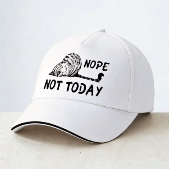 Nope Not Today cat Baseball Cap Cartoon Cute Cat hats man women Adjustable snapback caps
Nope Not Today cat Baseball Cap Cartoon Cute Cat hats man women Adjustable snapback caps
