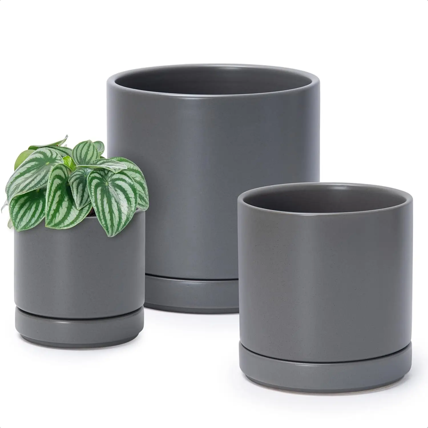 Set of 3 Round Ceramic Plant Pots with Drainage Hole and Saucer, Grey, 4/6/8 Inch Sizes for Indoor Plants
Set of 3 Round Ceramic Plant Pots with Drainage Hole and Saucer, Grey, 4/6/8 Inch Sizes for Indoor Plants