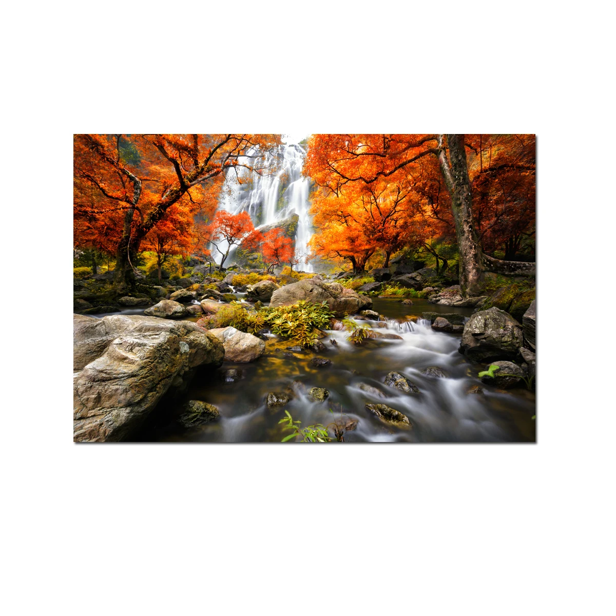 Autumn Forest Waterfalls Modern Canvas Prints Landscape Tree Painting Picture on Canvas Wall Art for Living Room
Autumn Forest Waterfalls Modern Canvas Prints Landscape Tree Painting Picture on Canvas Wall Art for Living Room