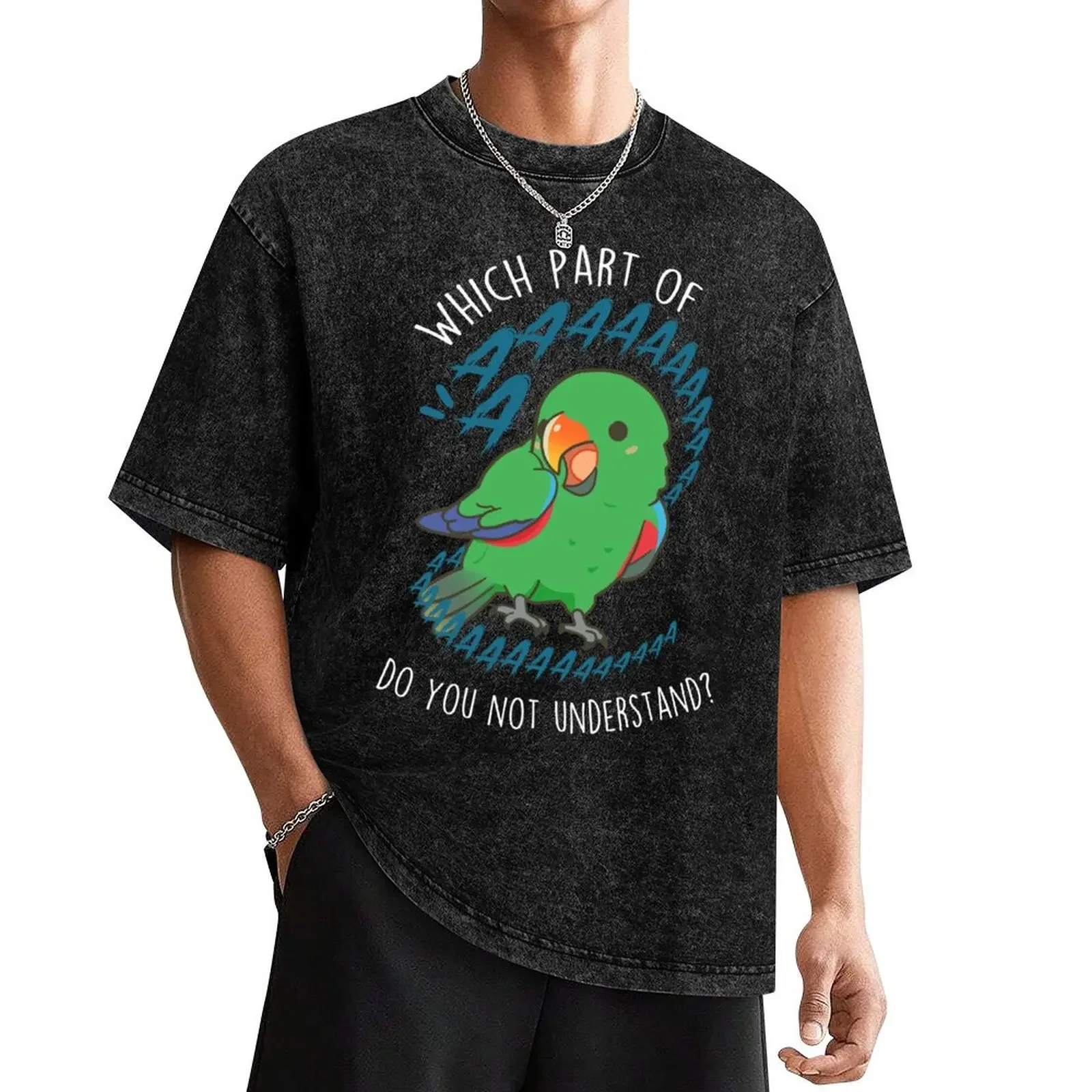 Male Eclectus Parrot Aaaa T-Shirt man clothes man t shirt fitted t shirts for men 
Male Eclectus Parrot Aaaa T-Shirt man clothes man t shirt fitted t shirts for men