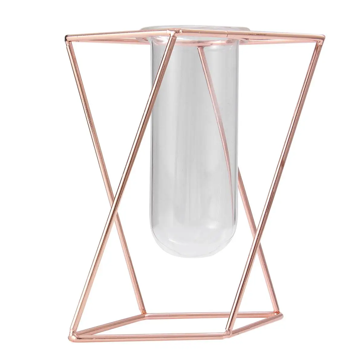 Iron Planter Vase Metal Frame Flower Tube Glass Decor Wrought Vase Plant Stand Gift Valentine Christmas
Iron Planter Vase Metal Frame Flower Tube Glass Decor Wrought Vase Plant Stand Gift Valentine Christmas