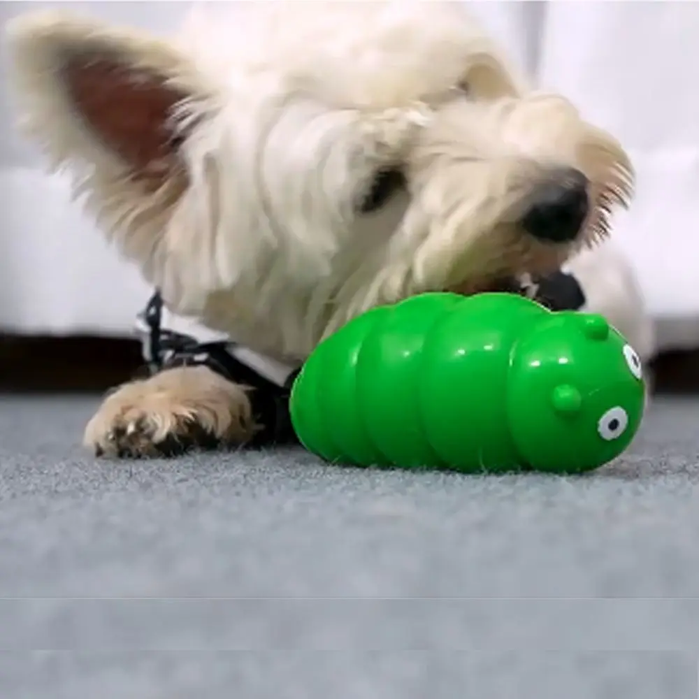 Funny Bite-resistant Dog Chew Toy Interactive TPR Pet Sound Making Toy Wear-resistant Pet Training Toy Cat
Funny Bite-resistant Dog Chew Toy Interactive TPR Pet Sound Making Toy Wear-resistant Pet Training Toy Cat
