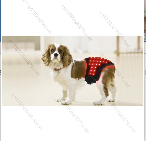Portable Pet Physiotherapy Device for Dog Cat, Leg Recovery & Wound Healing, Automatic Timing 1pcs
Portable Pet Physiotherapy Device for Dog Cat, Leg Recovery & Wound Healing, Automatic Timing 1pcs
