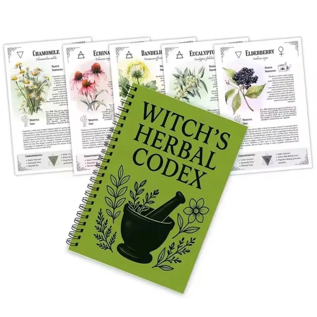 Witch's Herbal Codex - Magical Herb Guide Book Occult Pagan Witchcraft Reference Witch Herbal Notebook
Witch's Herbal Codex - Magical Herb Guide Book Occult Pagan Witchcraft Reference Witch Herbal Notebook