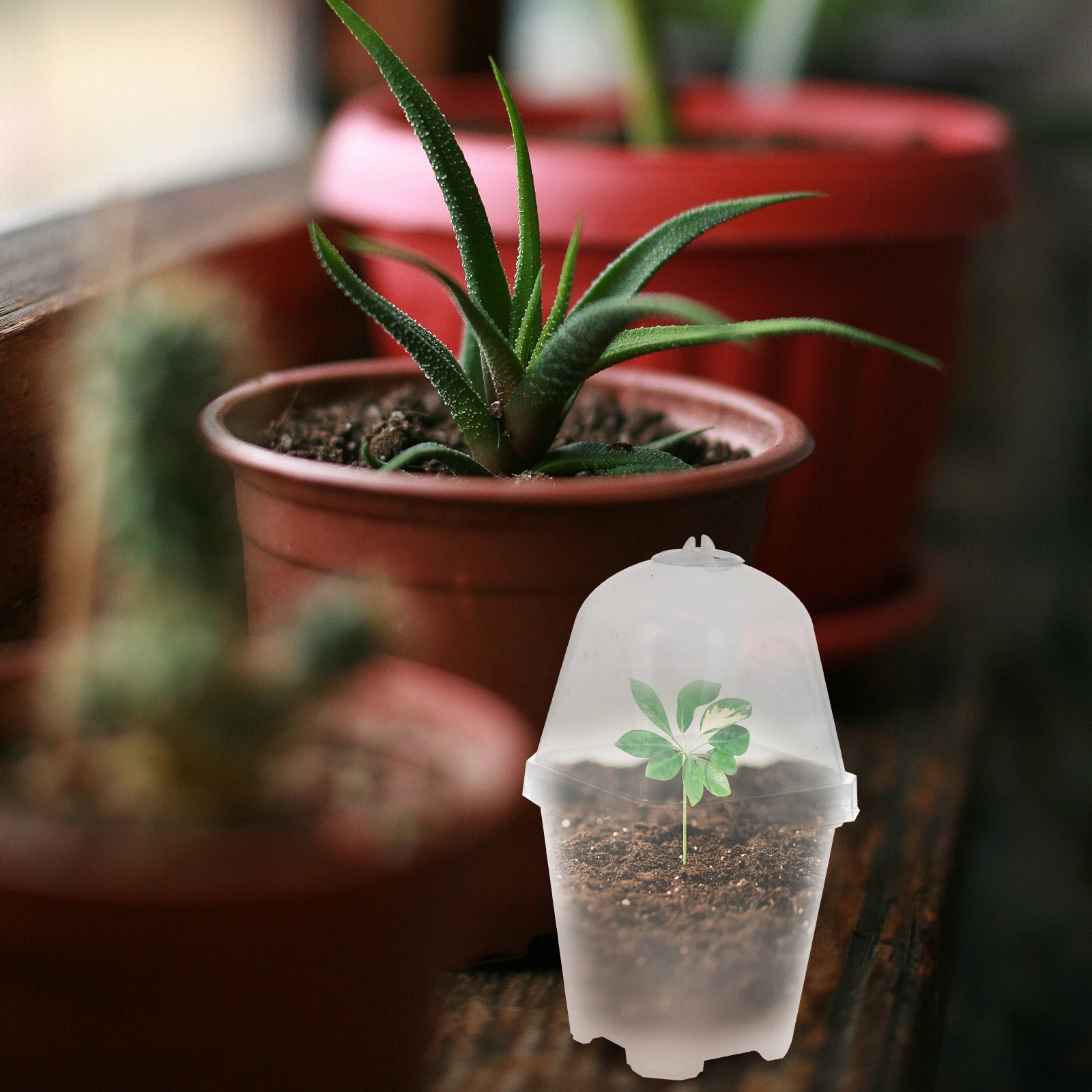 10 Sets Small Square Seedling Pots Plant Sowing Cups Durable Plastic Garden Supplies Yard Use Flower Planter Boxes
10 Sets Small Square Seedling Pots Plant Sowing Cups Durable Plastic Garden Supplies Yard Use Flower Planter Boxes