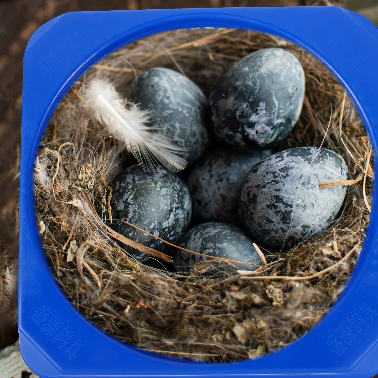 2Pcs Square Plastic Pigeon Nests Bird Breeding Bowls Hatching for Pigeons Quails Eggs Reusable Easy Clean Stable Structure
2Pcs Square Plastic Pigeon Nests Bird Breeding Bowls Hatching for Pigeons Quails Eggs Reusable Easy Clean Stable Structure