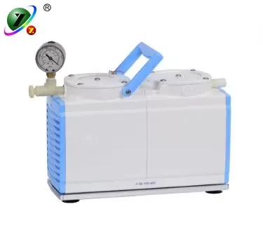 GM-0.5B 30L/min Oil Free Diaphragm Vacuum Pump for Laboratory OEM Customizable 220V/110V
GM-0.5B 30L/min Oil Free Diaphragm Vacuum Pump for Laboratory OEM Customizable 220V/110V