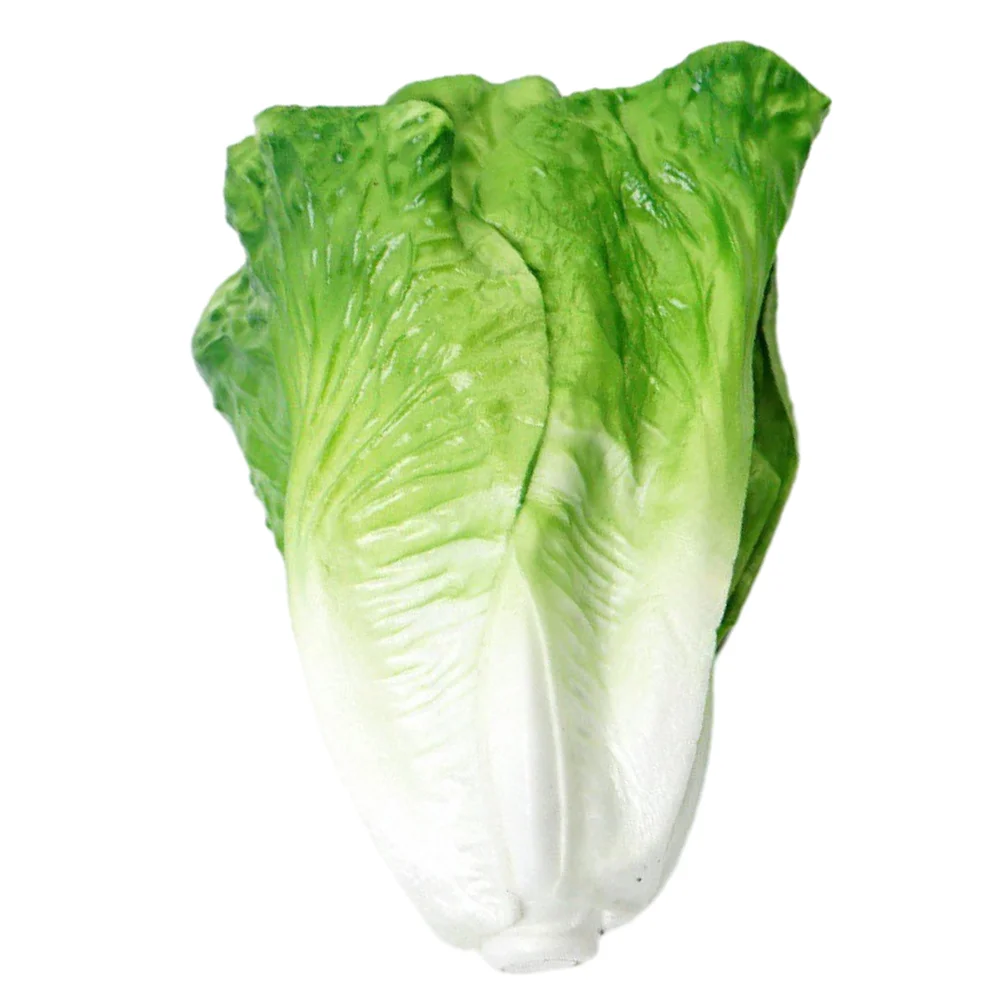 Simulated Vegetables Decorations Artificial Fake Lettuce Decorative Simulation Models Realistic Lifelike Plants
Simulated Vegetables Decorations Artificial Fake Lettuce Decorative Simulation Models Realistic Lifelike Plants