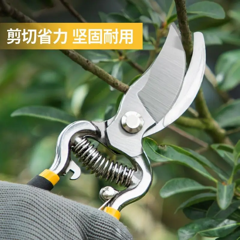 8-inch pruning shears for fruit trees, fruit picking, pruning, flower trimming, and green plant pruning
8-inch pruning shears for fruit trees, fruit picking, pruning, flower trimming, and green plant pruning