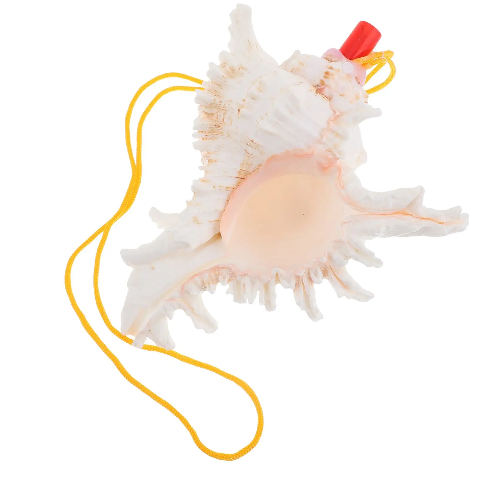 Conch Shell Horn Whistle Decorative Piece Melodious Sound Home Ornament Natural Shells Large Size Pocket Trumpet Blowing Toy
Conch Shell Horn Whistle Decorative Piece Melodious Sound Home Ornament Natural Shells Large Size Pocket Trumpet Blowing Toy