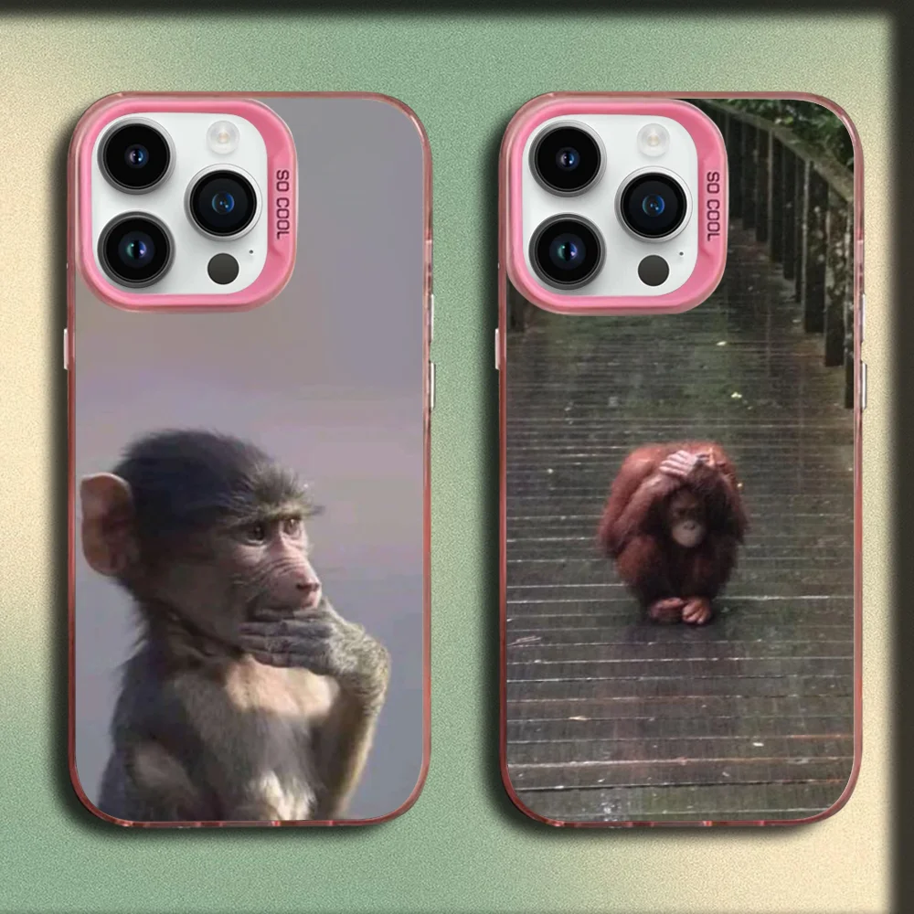 Music Monkey Funny Phone Case For iPhone 16,15,14,13,12,11,Mini,Pro,SE,MAX Pink Matte Silicone Cover
Music Monkey Funny Phone Case For iPhone 16,15,14,13,12,11,Mini,Pro,SE,MAX Pink Matte Silicone Cover