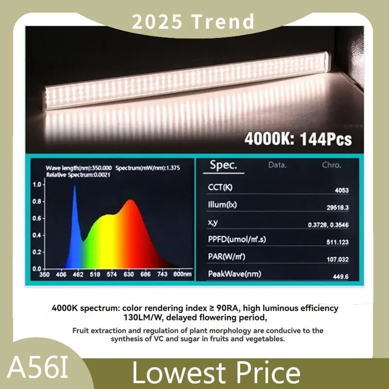 Full Spectrum Grow Lights For Indoor Plants 25W Plant Lights For Seed Starting Seedlings Sunlight Replacement 4000K EU Plug
Full Spectrum Grow Lights For Indoor Plants 25W Plant Lights For Seed Starting Seedlings Sunlight Replacement 4000K EU Plug