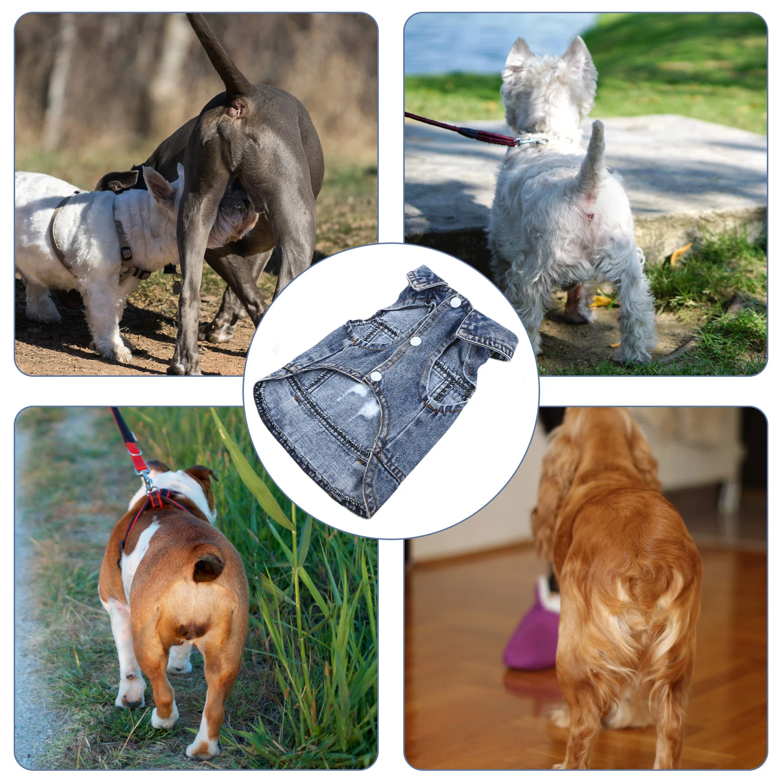 Denim Vest for Dogs Pet Jacket Spring Autumn Retro Jeans Style Lapel Collar Button Closure Clothes Vest Pet Clothing
Denim Vest for Dogs Pet Jacket Spring Autumn Retro Jeans Style Lapel Collar Button Closure Clothes Vest Pet Clothing