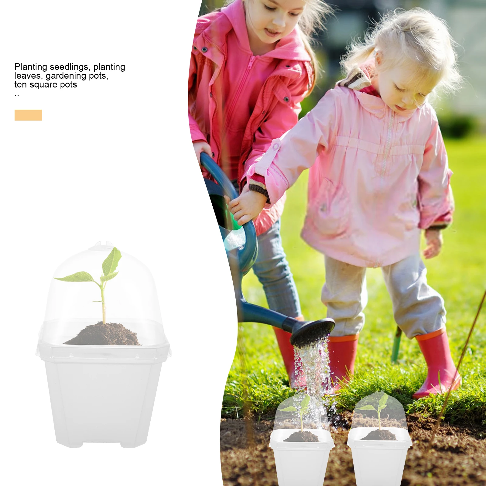5pcs Seedling Flower Pots Durable Plastic Planter Transparent Cover High Budding Rate Sowing Tools Plant Growing Garden Indoor
5pcs Seedling Flower Pots Durable Plastic Planter Transparent Cover High Budding Rate Sowing Tools Plant Growing Garden Indoor