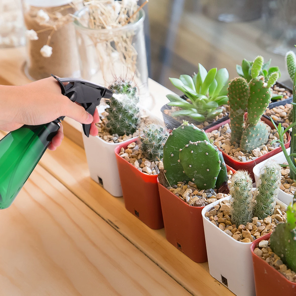 Plant Spray Bottle Mist Sprayer Watering Spray Gardening Eco Friendly Reusable Small Size Practical Disinfection
Plant Spray Bottle Mist Sprayer Watering Spray Gardening Eco Friendly Reusable Small Size Practical Disinfection