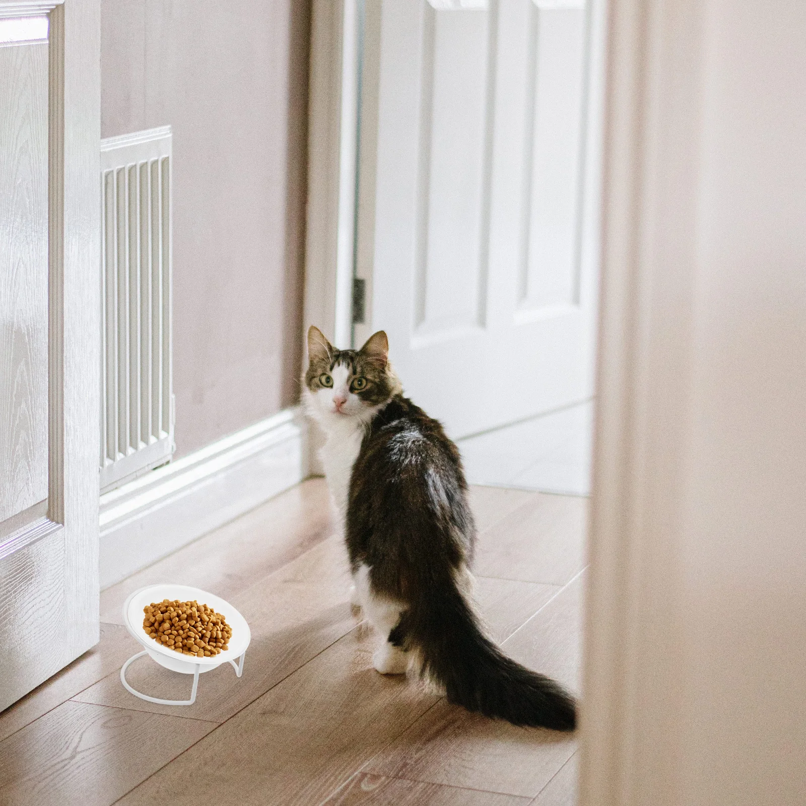 1 set Pets Disposable Feeding Bowls 2 In 1 Wet Dry Food Water Bowl For Cat Dog Kitten Puppy Travel Outdoor Use Pet Paper Bowls
1 set Pets Disposable Feeding Bowls 2 In 1 Wet Dry Food Water Bowl For Cat Dog Kitten Puppy Travel Outdoor Use Pet Paper Bowls