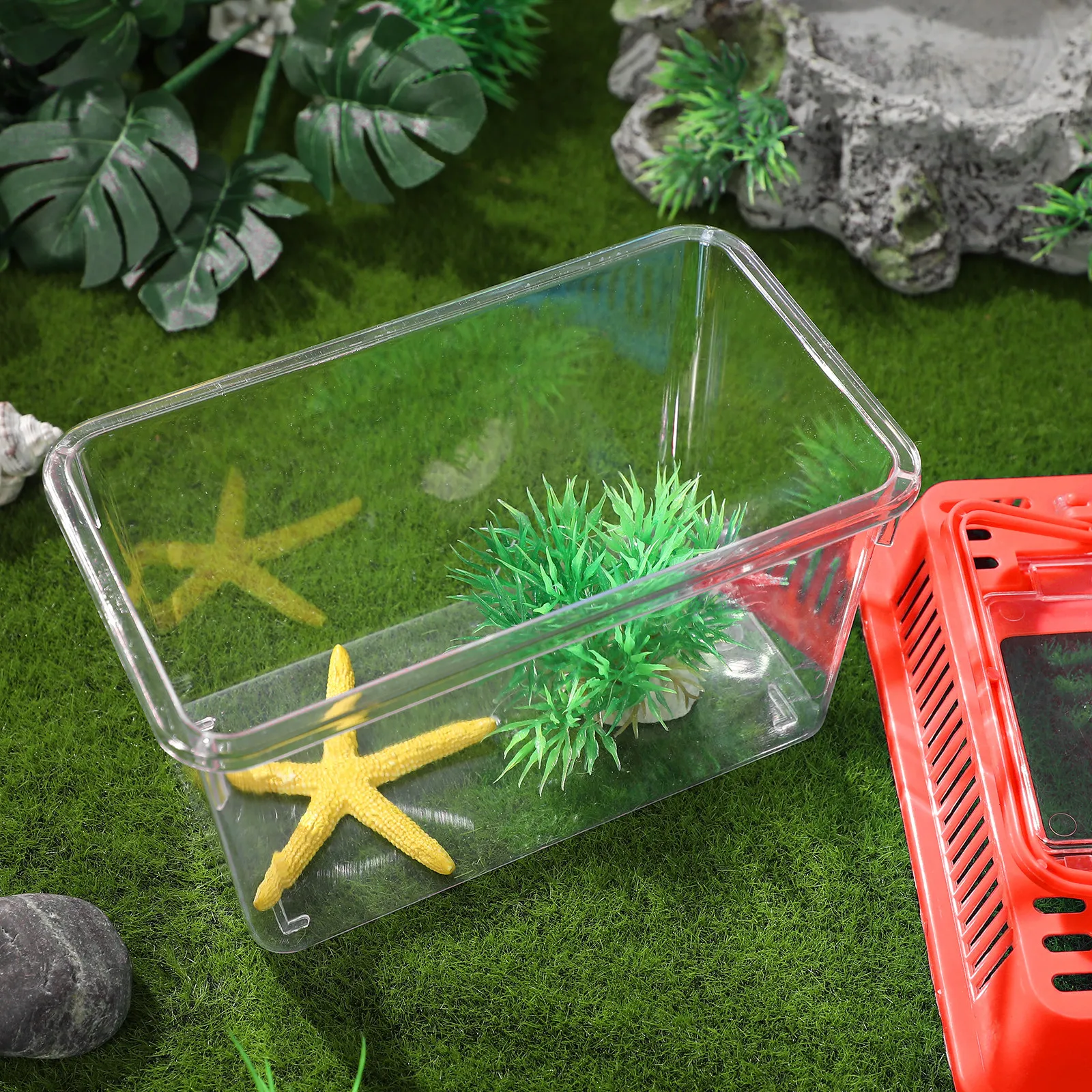 Transparent Mini Fish Tank Plastic Handheld for Turtle Pet Fish Portable Easy Clean Carry Handle Goldfish Tank
Transparent Mini Fish Tank Plastic Handheld for Turtle Pet Fish Portable Easy Clean Carry Handle Goldfish Tank