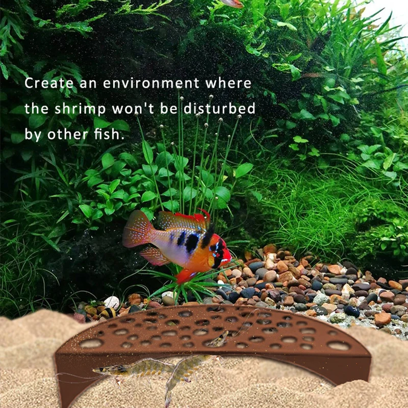 Shrimp Cave Hideout Shrimp Tunnel Shrimp Breeding Protector Aquarium Hide Shelter Shrimp Protector Breeding Protection Supplies
Shrimp Cave Hideout Shrimp Tunnel Shrimp Breeding Protector Aquarium Hide Shelter Shrimp Protector Breeding Protection Supplies