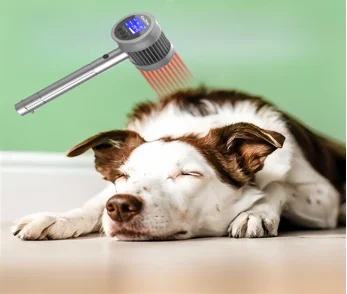 At-Home Laser Therapy Device for Dogs, Relief for Hip Dysplasia & Ligament Injuries
At-Home Laser Therapy Device for Dogs, Relief for Hip Dysplasia & Ligament Injuries