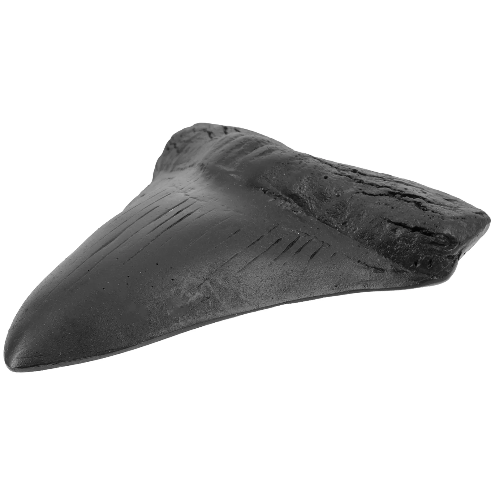 Giant Shark Tooth Replica Megalodon Shark Teeth Fake Model Resin Craft Decoration meglodon teeth replica model
Giant Shark Tooth Replica Megalodon Shark Teeth Fake Model Resin Craft Decoration meglodon teeth replica model