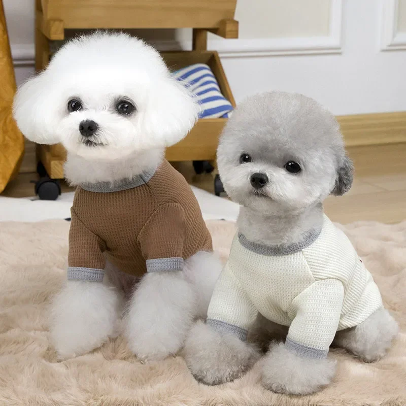 Cute Bear Pet Clothes Cool Breathable Pet Vest Spring Summer Puppy Clothing Teddy Biker Cute Clothes Dog Two Legs T-Shirt
Cute Bear Pet Clothes Cool Breathable Pet Vest Spring Summer Puppy Clothing Teddy Biker Cute Clothes Dog Two Legs T-Shirt