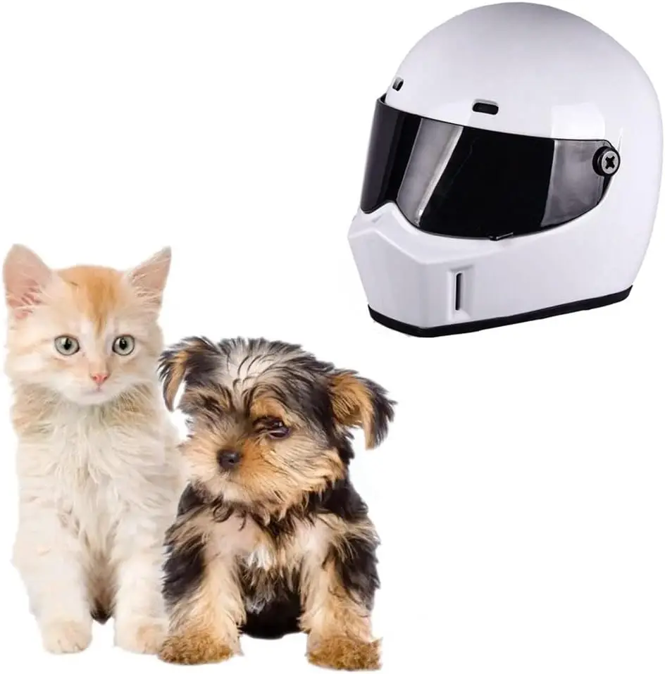 Cat Motorcycle Helmet Full Face Outdoor Bike Riding Hat Head Protecting for Cat Dog Doggie Puppy Kitten Pet Supplies Racing
Cat Motorcycle Helmet Full Face Outdoor Bike Riding Hat Head Protecting for Cat Dog Doggie Puppy Kitten Pet Supplies Racing
