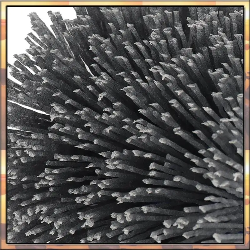 AS59 120X100x19mm Nylon Abrasive Wire Drum Polishing Wheel Electric Brush For Woodworking Metalworking Brush Tool
AS59 120X100x19mm Nylon Abrasive Wire Drum Polishing Wheel Electric Brush For Woodworking Metalworking Brush Tool