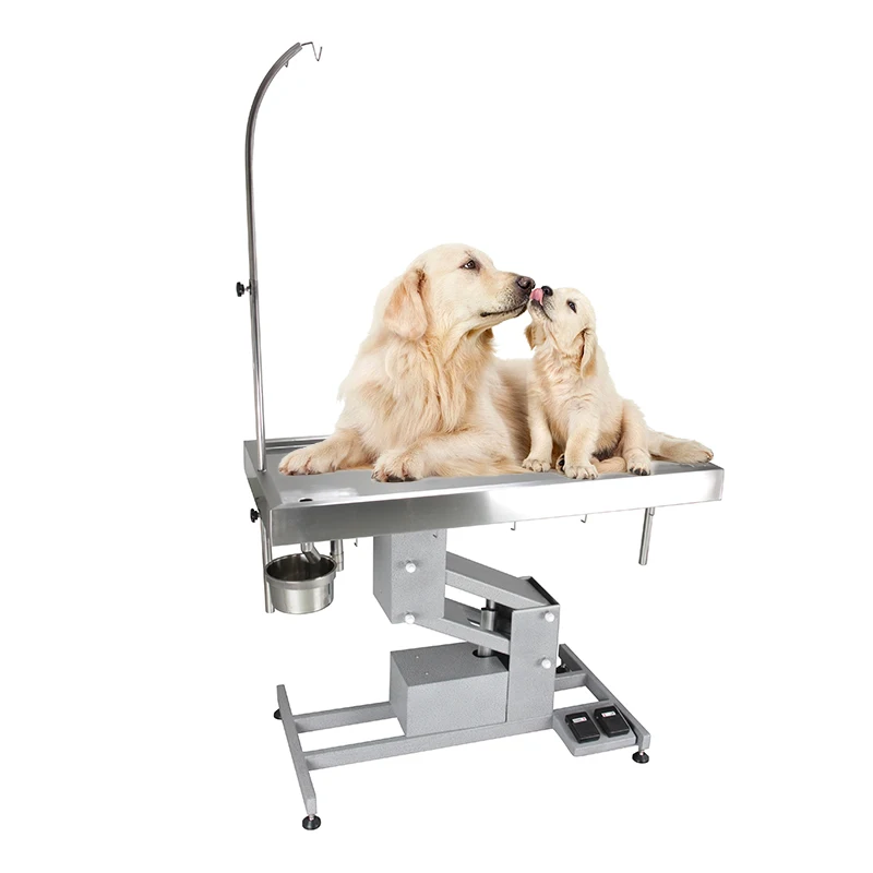 Cost Effective Vet Electrical Operation Table For Small Pets
Cost Effective Vet Electrical Operation Table For Small Pets