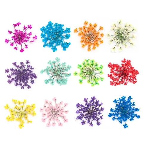 6 Grids Dry Flowers Nail Art Charms Decorations Natural Dried Floral Pressed Bloom Stickers DIY Nails Designs Crafts Accessories