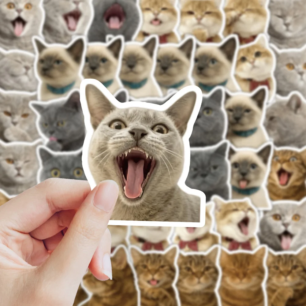 10/50PCS Cats Graffiti Stickers Cute and Funny Animals Cartoon Sticker for Phone Computer Notebook Stationery DIY Toys Secret
10/50PCS Cats Graffiti Stickers Cute and Funny Animals Cartoon Sticker for Phone Computer Notebook Stationery DIY Toys Secret