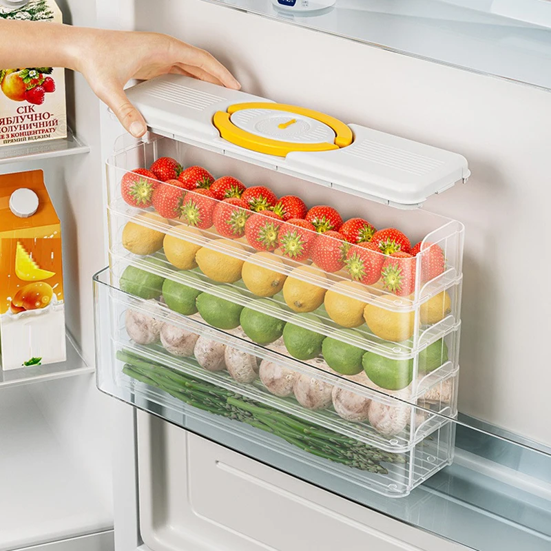 Kitchen Dumpling Box Food Storage Container Refrigerator Keep Fresh Storage Box Multi-Layer Transparent Dumpling Box Organizer
Kitchen Dumpling Box Food Storage Container Refrigerator Keep Fresh Storage Box Multi-Layer Transparent Dumpling Box Organizer