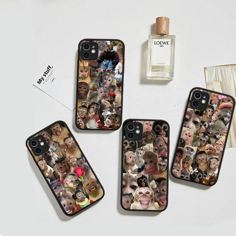 New Creative Monkey Pattern For IPhone 16 13 15 11 12 14 Pro Max 15 16 Plus X XS MAX Matte Phone Cover
New Creative Monkey Pattern For IPhone 16 13 15 11 12 14 Pro Max 15 16 Plus X XS MAX Matte Phone Cover
