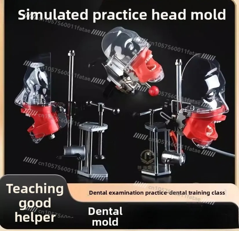 Simulation Practice Model Resin Teeth Adjustable Detachable Teaching Preparation Teeth Model
Simulation Practice Model Resin Teeth Adjustable Detachable Teaching Preparation Teeth Model