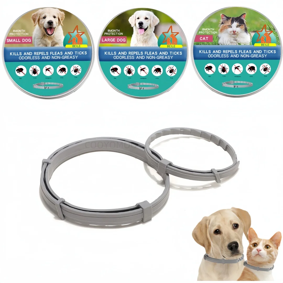 Dog Anti Flea And Tick Collars,Pet 8Month Protection Adjustable 2Pcs Collar For Large Dog Puppy Cat, Dogs Accessories Supplier
Dog Anti Flea And Tick Collars,Pet 8Month Protection Adjustable 2Pcs Collar For Large Dog Puppy Cat, Dogs Accessories Supplier