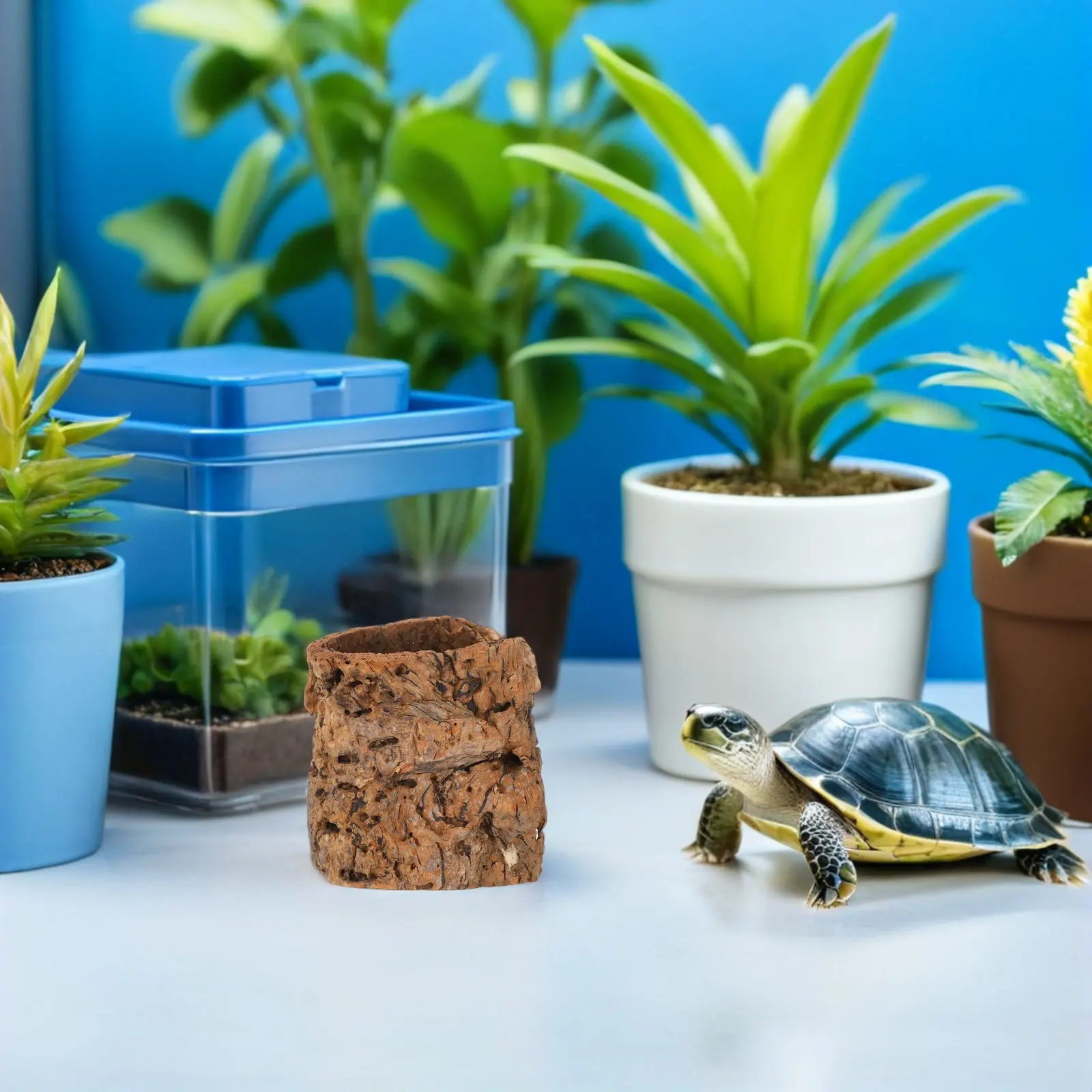 Cork Bark Reptile Hide Cave Natural Habitat Log Climbing Hideout Terrarium Hide for Gecko Snakes Frogs Hermit Crabs
Cork Bark Reptile Hide Cave Natural Habitat Log Climbing Hideout Terrarium Hide for Gecko Snakes Frogs Hermit Crabs
