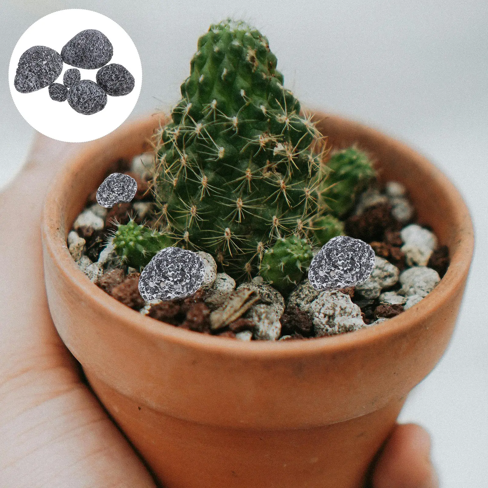 6Pcs Realistic Artificial Rock Faux Stone for Flower Arrangements Fairy Gardens Craft Projects Indoor Outdoor Decorative Garden
6Pcs Realistic Artificial Rock Faux Stone for Flower Arrangements Fairy Gardens Craft Projects Indoor Outdoor Decorative Garden
