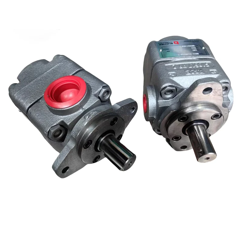 QX Series QX51-125R QX22-005R QX63-125-R86 Qx24-006 QX33-016R High Pressure Internal Hydraulic Gear Pump
QX Series QX51-125R QX22-005R QX63-125-R86 Qx24-006 QX33-016R High Pressure Internal Hydraulic Gear Pump